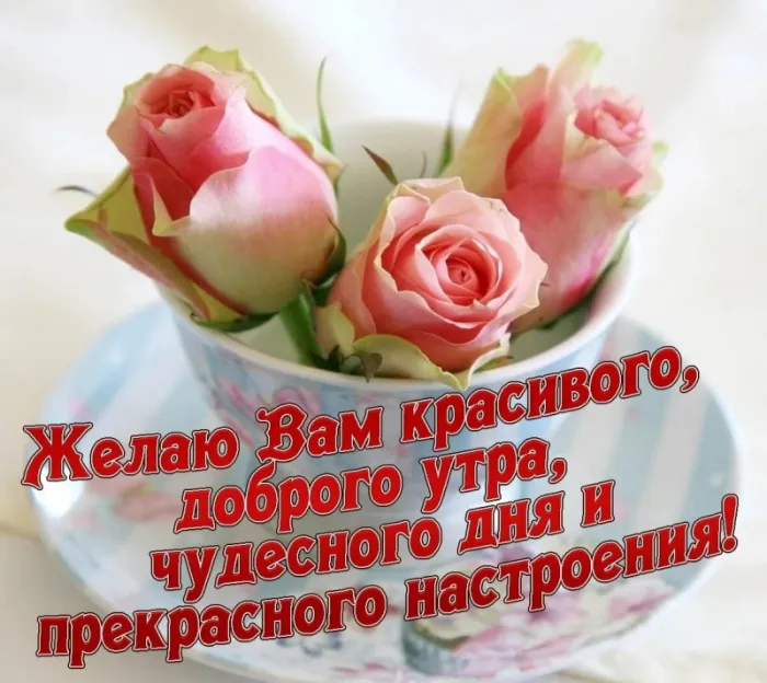 Картинки Доброго здоровья. Картинки доброго утра здоровья и счастья