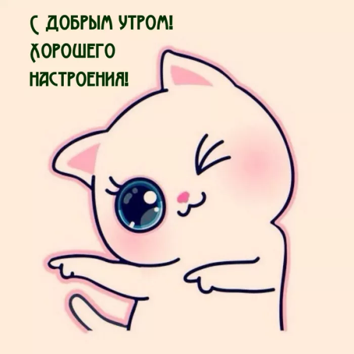 Картинки котиков с добрым утром. Котики с добрым утром картинки котиков