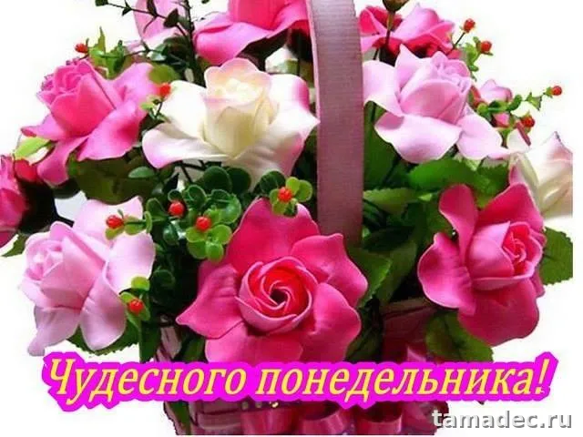 Картинки доброе утро понедельника. Доброго утра понедельника картинки с пожеланиями