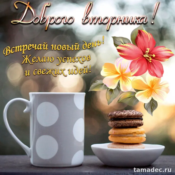 Картинки Доброго утра вторника. Доброе утро вторника картинки красивые