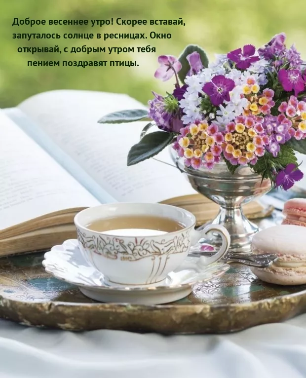 Красивые весенние картинки Доброго утра. Доброе утро весны картинки красивые