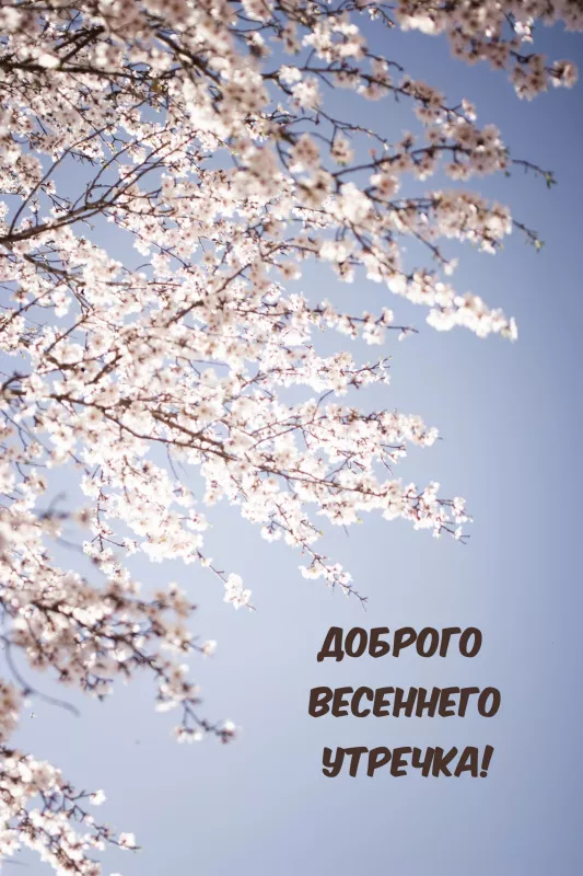 Красивые весенние картинки Доброго утра. Картинки с добрым весенним утром