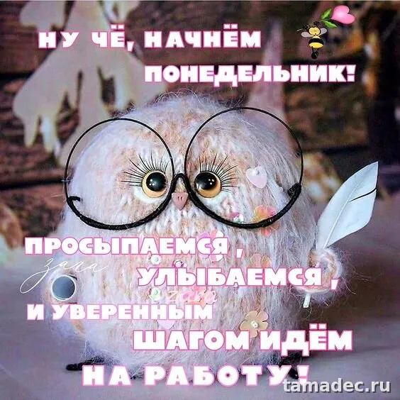 Картинки доброе утро понедельника. Доброе утро понедельника картинки прикольные