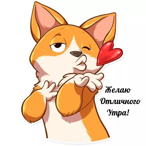 Картинки котиков с добрым утром. Картинки котиков с добрым утром