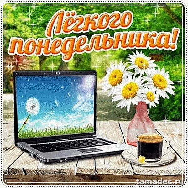 Картинки доброе утро понедельника. Доброе утро понедельника картинки красивые