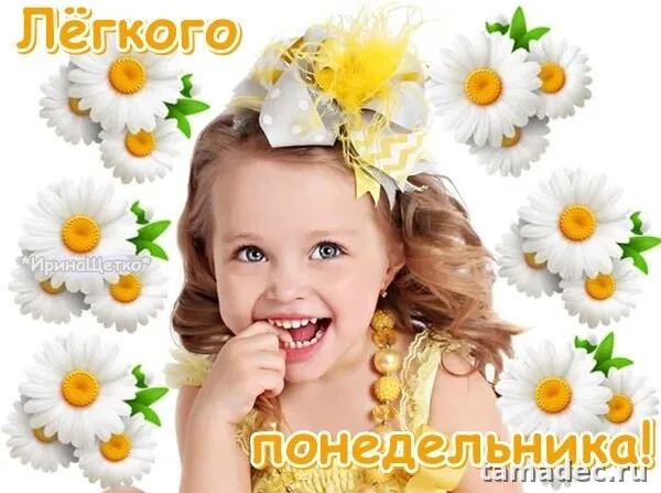 Картинки доброе утро понедельника. Доброе утро понедельника картинки красивые