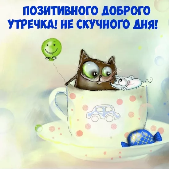 Картинки котиков с добрым утром. Котики с добрым утром картинки котиков