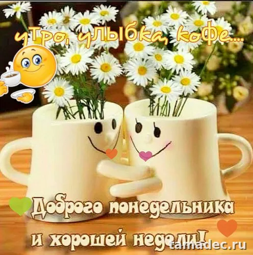 Картинки доброе утро понедельника. Доброго утра понедельника картинки с пожеланиями