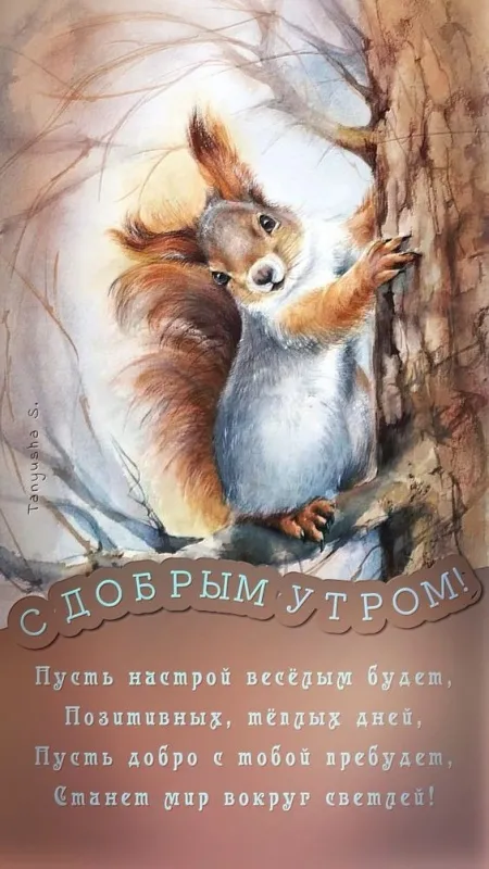 Картинки Доброго здоровья. Картинки доброго утра здоровья и счастья