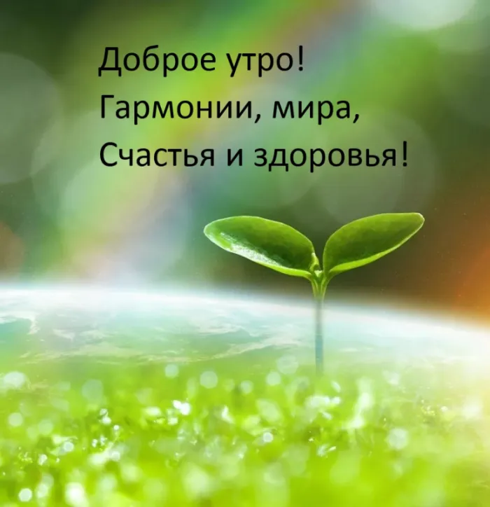 Картинки Доброго здоровья. Красивая картинка с пожеланиями доброго здоровья