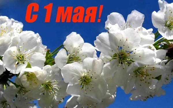 Открытки с Днем 1 мая . Картинки 1 мая день весны