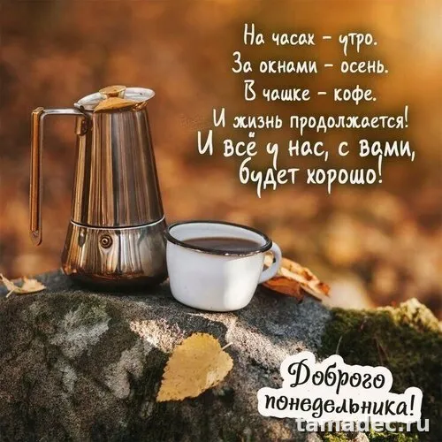 Картинки доброе утро понедельника. Доброе утро понедельника картинки красивые
