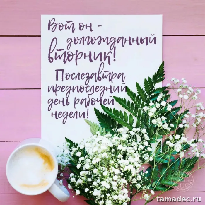 Картинки Доброго утра вторника. Доброе утро хорошего вторника