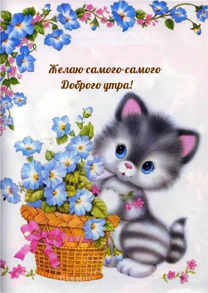 Картинки котиков с добрым утром. Картинки котиков с добрым утром