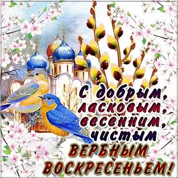 Картинки с вербным воскресеньем. Картинки красивые вербное воскресенье