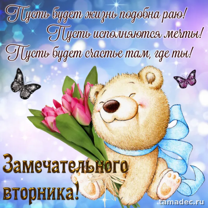 Картинки Доброго утра вторника. Доброе утро вторника картинки красивые
