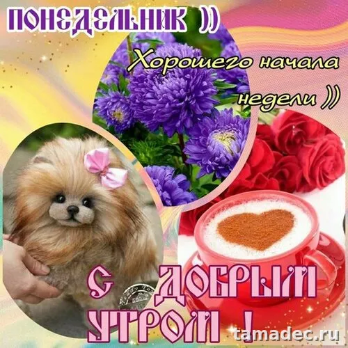 Картинки доброе утро понедельника. Доброе утро понедельника картинки позитивные