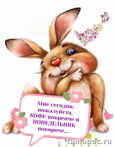 Картинки доброе утро понедельника. Доброе утро понедельника картинки прикольные