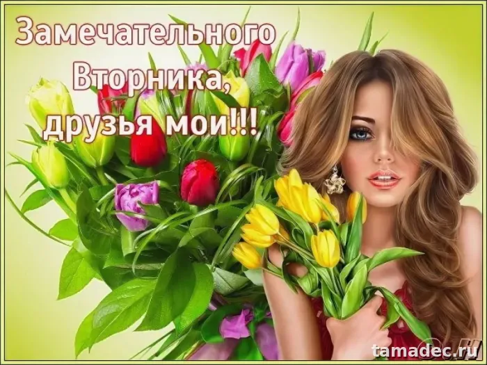Картинки Доброго утра вторника. Доброе утро вторника картинки красивые