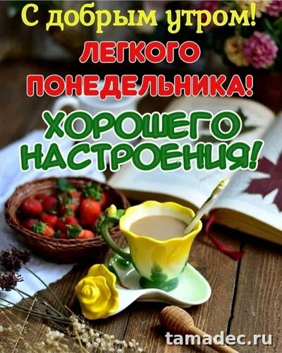 Картинки доброе утро понедельника. Доброе утро понедельника картинки позитивные