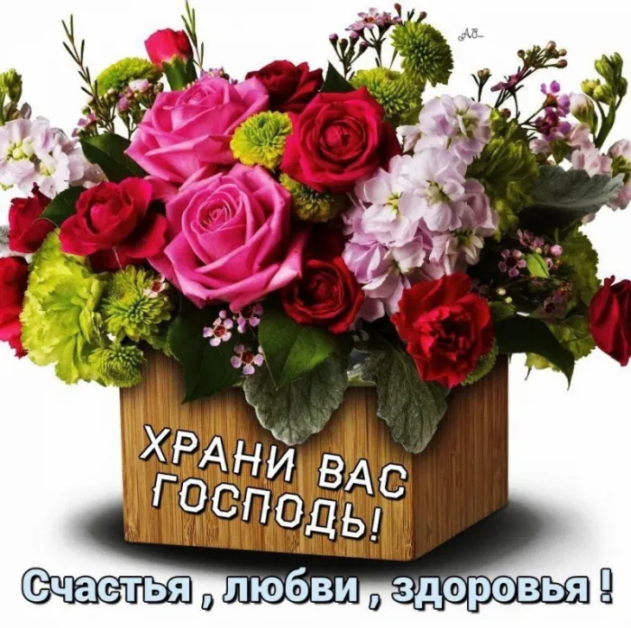 Картинки Доброго здоровья. Картинки доброго утра здоровья и счастья