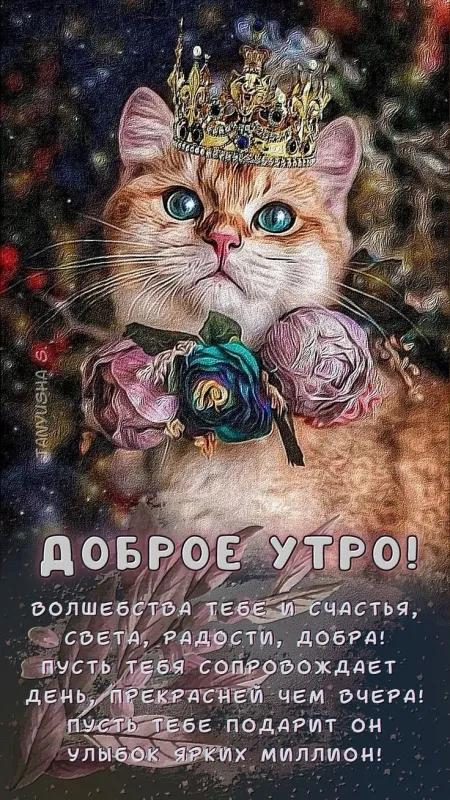 Картинки Доброго здоровья. Картинки доброго утра здоровья и счастья