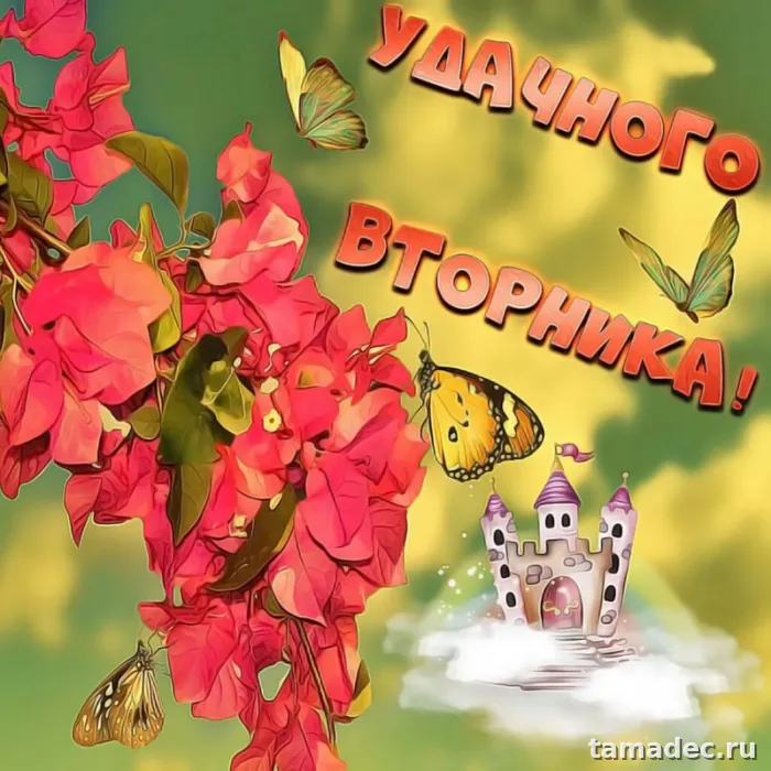 Картинки Доброго утра вторника. Доброе утро хорошего вторника