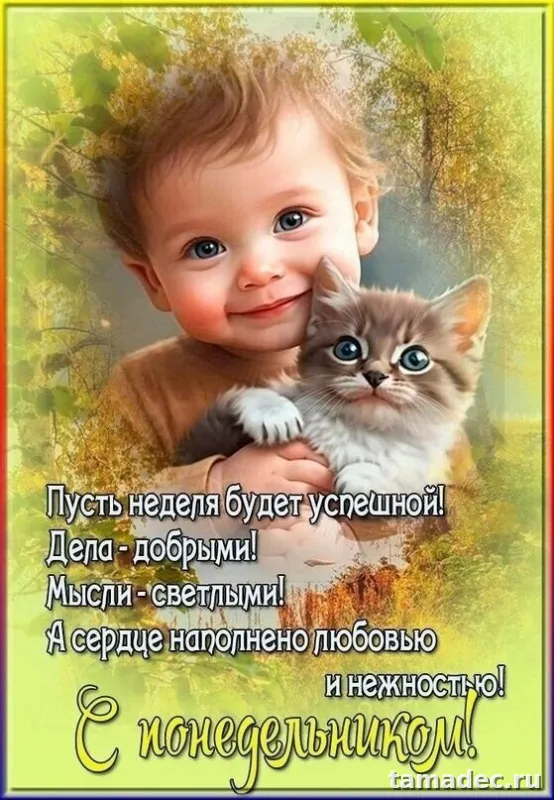 Картинки доброе утро понедельника. Доброе утро понедельника картинки позитивные
