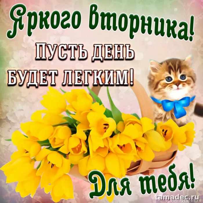 Картинки Доброго утра вторника. Доброе утро вторника картинки красивые