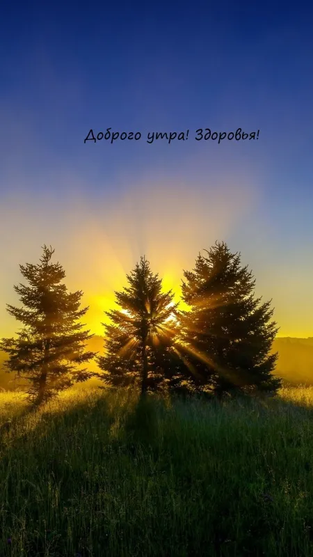 Картинки Доброго здоровья. Красивая картинка с пожеланиями доброго здоровья