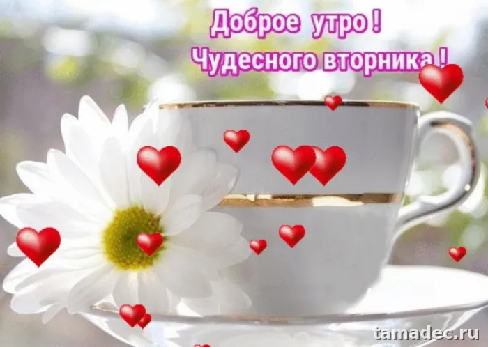 Картинки Доброго утра вторника. Доброе утро хорошего вторника