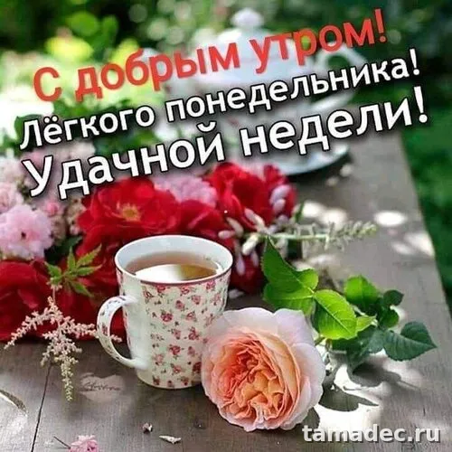 Картинки доброе утро понедельника. Доброе утро и хорошего понедельника картинки