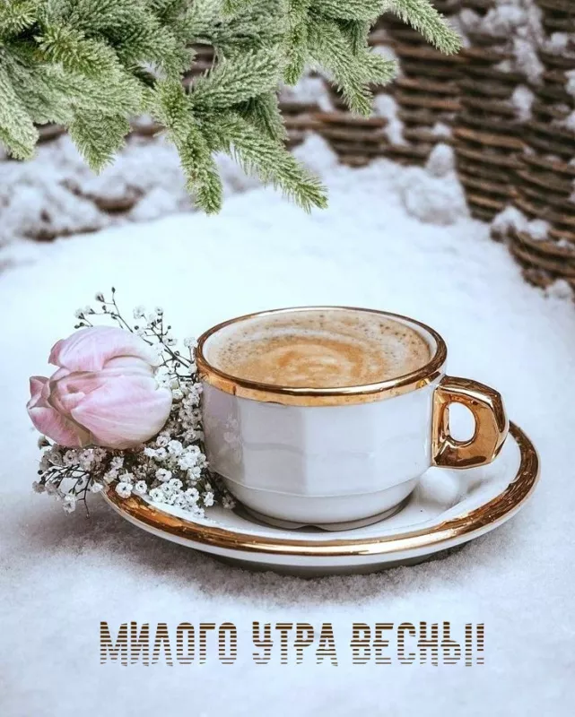 Красивые весенние картинки Доброго утра. Картинки с добрым весенним утром