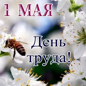 Открытки с Днем 1 мая . Картинки 1 мая день весны