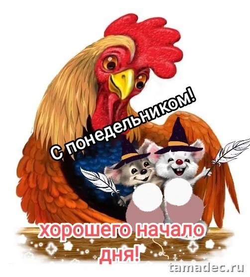 Картинки доброе утро понедельника. Доброе утро понедельника картинки позитивные