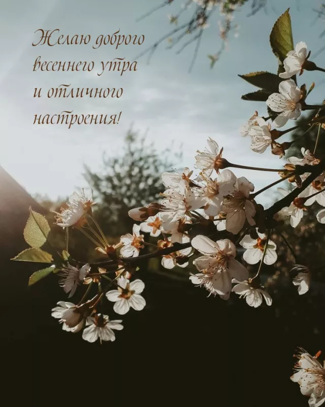 Красивые весенние картинки Доброго утра. Картинки с добрым весенним утром