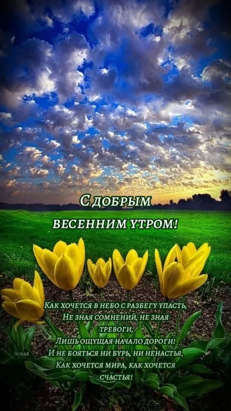 Красивые весенние картинки Доброго утра. Картинки с добрым весенним утром
