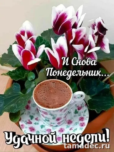 Картинки доброе утро понедельника. Доброе утро и хорошего понедельника картинки