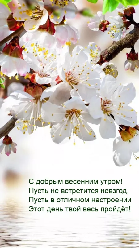 Красивые весенние картинки Доброго утра. Картинки с добрым весенним утром