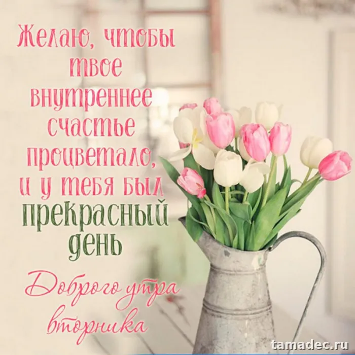 Картинки Доброго утра вторника. Доброе утро вторника картинки красивые