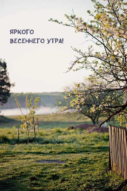 Красивые весенние картинки Доброго утра. Картинки с добрым весенним утром