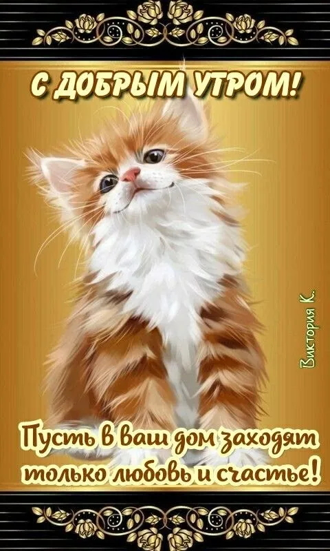 Картинки Доброго здоровья. Картинки доброго утра здоровья и счастья