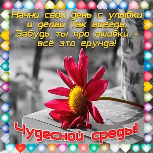 Картинки Доброе утро среды красивые и прикольные. Доброе утро среды картинки красивые