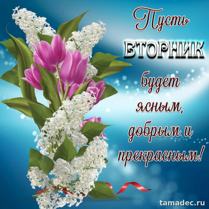 Картинки Доброго утра вторника. Доброе утро вторника картинки красивые