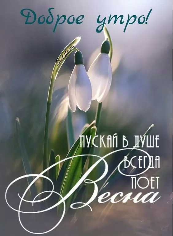 Красивые весенние картинки Доброго утра. Картинки Доброе утро весна