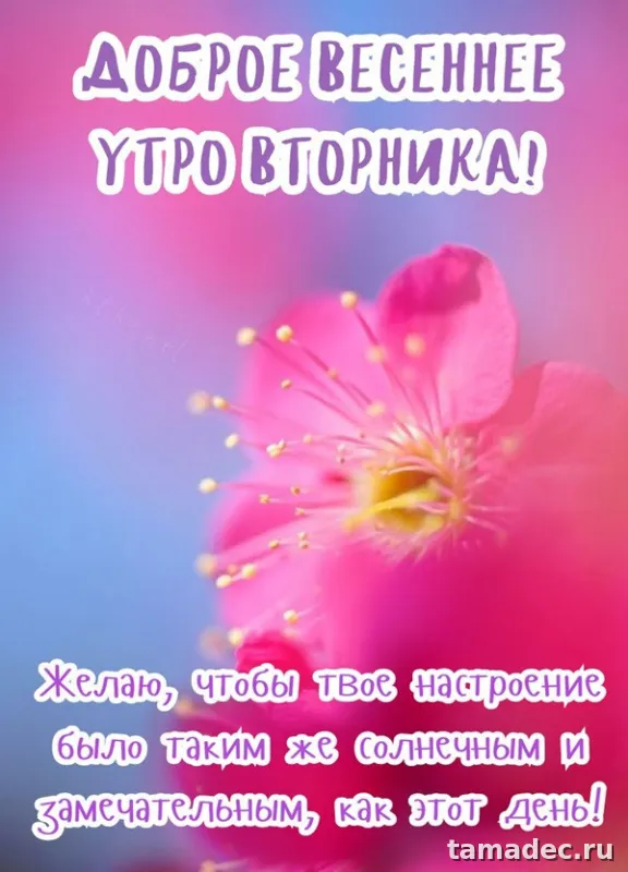 Картинки Доброго утра вторника. Доброе утро хорошего вторника