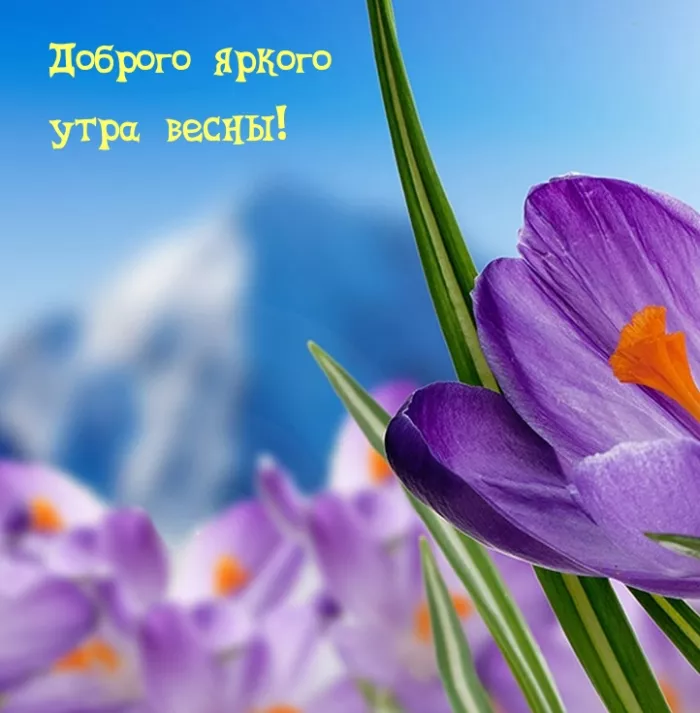 Красивые весенние картинки Доброго утра. Доброе утро весны картинки красивые