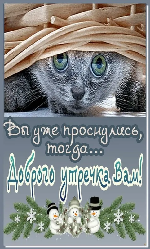 Картинки Доброго здоровья. Картинки доброго утра здоровья и счастья