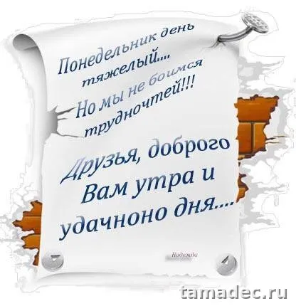 Картинки доброе утро понедельника. Доброе утро понедельника картинки позитивные