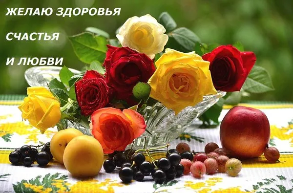 Картинки Доброго здоровья. Картинки доброго дня и здоровья